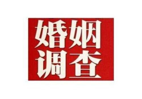 民事诉讼案件举证时间是多久
